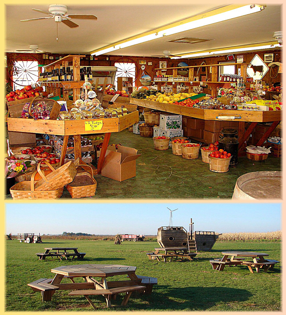 Windy Acres Farm Calverton NY 631.727.4554